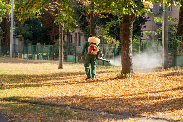 Best Exterminator Services  in Fyffe, AL